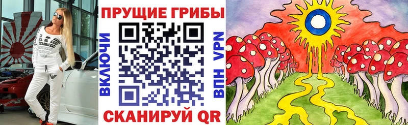 магазин продажи Оха кракен рабочий сайт Псилоцибиновые грибы Psilocybine cubensis